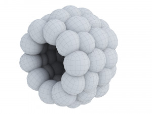 Raspberry Modelo 3D