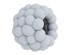 Raspberry Modelo 3D
