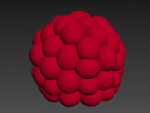 Raspberry Modelo 3D