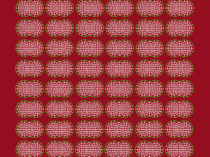 Raspberry Modelo 3D