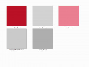 Raspberry Modelo 3D
