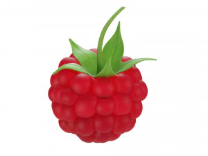Himbeere 2 3D Modell
