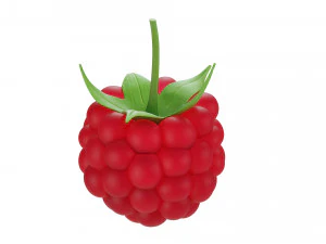 Raspberry 2 3D Model