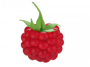 Raspberry 2 3D Model