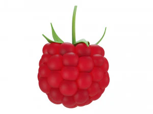 Raspberry 2 3D Model