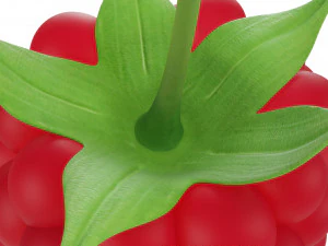 Raspberry 2 3D Model