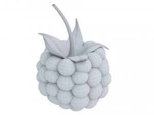 Raspberry 2 3D Model