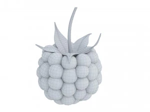 Raspberry 2 3D Model