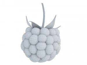 Raspberry 2 3D Model