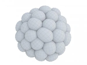 Raspberry 2 3D Model