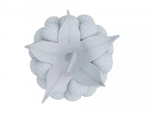 Raspberry 2 3D Model