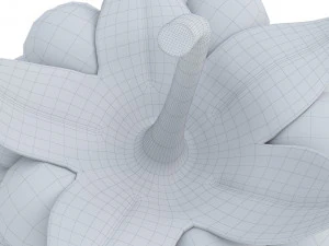 Raspberry 2 3D Model