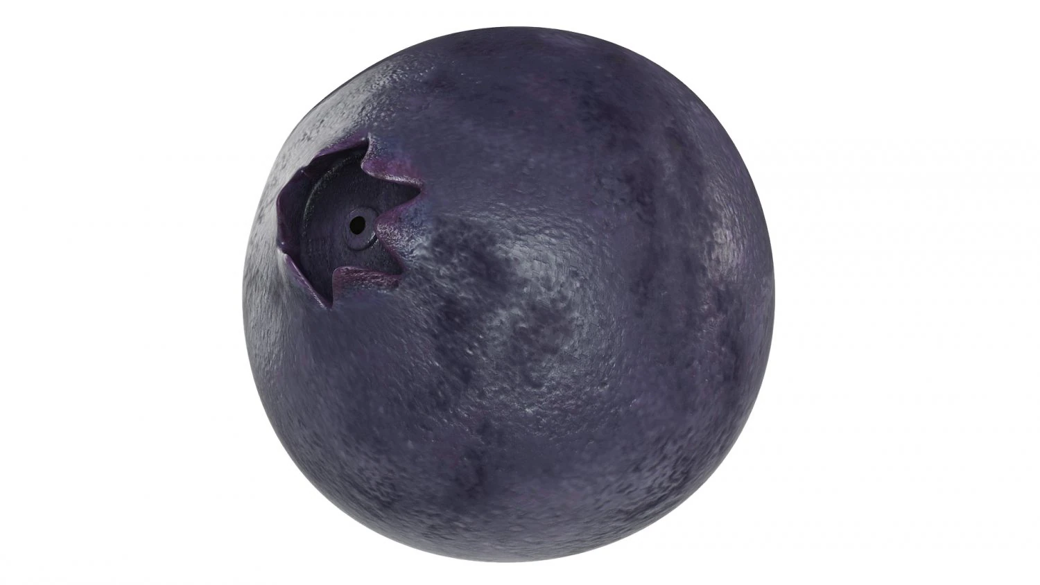 Blueberry 3D Model .c4d .max .obj .3ds .fbx .stl .blend 