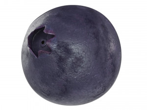 Blueberry 3D Model