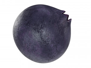 Blueberry Model 3D