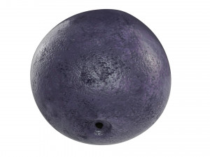 Blueberry Model 3D