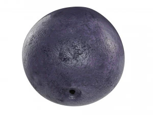 Blueberry 3D Model