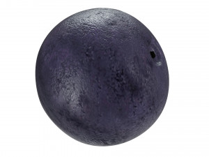 Blueberry Model 3D