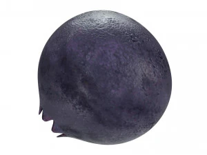 Blueberry 3D Model