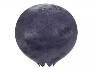 Blueberry 3D Model