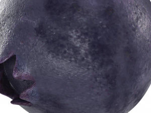 Blueberry 3D Model