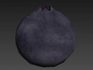 Blueberry 3D Model