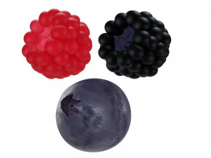 Koleksi buah beri Model 3D