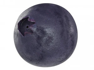Berry collection 3D Model