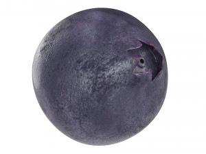 Berry collection Modello 3D