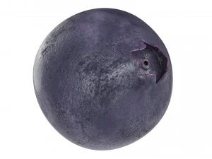 Berry collection 3D Model