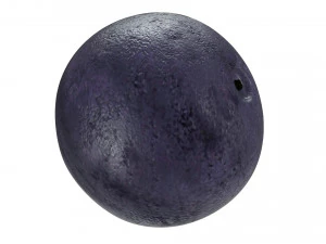 Berry collection 3D Model