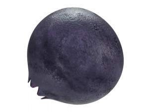 Berry collection Modello 3D