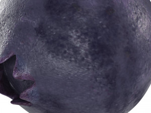 Berry collection Modello 3D