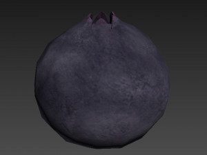 Berry collection Modello 3D