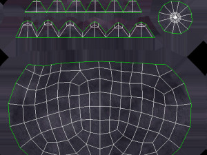 Berry collection Modello 3D