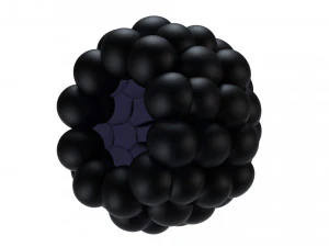 Berry collection 3D Model