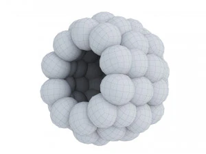 Berry collection 3D Model