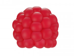 Berry collection Modello 3D