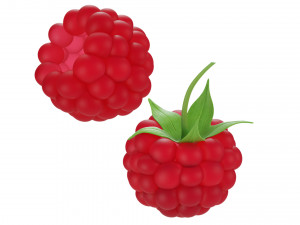 Raspberry collection 3D Model