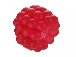 Raspberry collection 3D Model