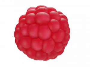 Raspberry collection 3D Model