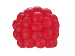 Raspberry collection 3D Model