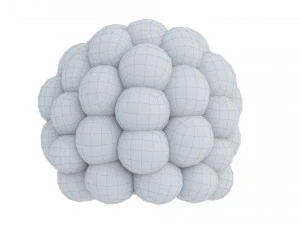 Raspberry collection 3D Model