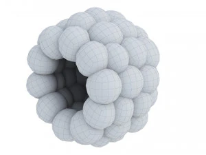 Raspberry collection 3D Model