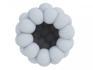 Raspberry collection 3D Model