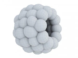 Raspberry collection 3D Model