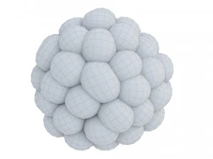 Raspberry collection 3D Model