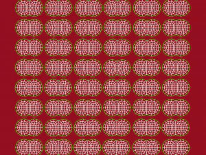 Raspberry collection 3D Model