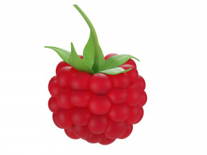Raspberry collection 3D Model