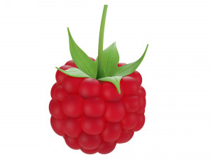 Raspberry collection 3D Model